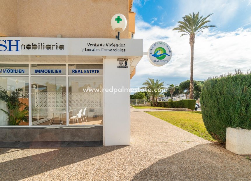  - Business -
Orihuela Costa - La Zenia