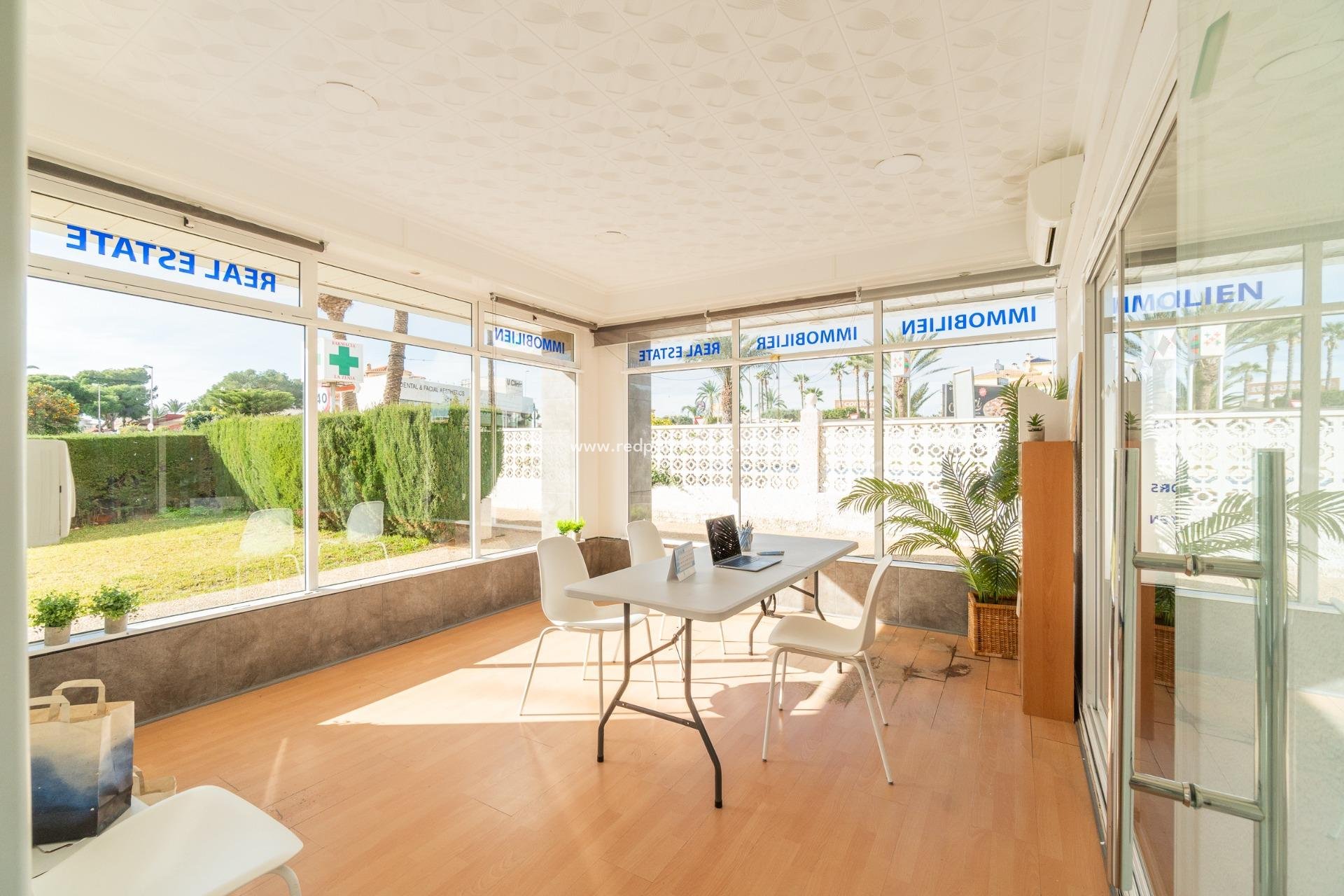  - Business -
Orihuela Costa - La Zenia