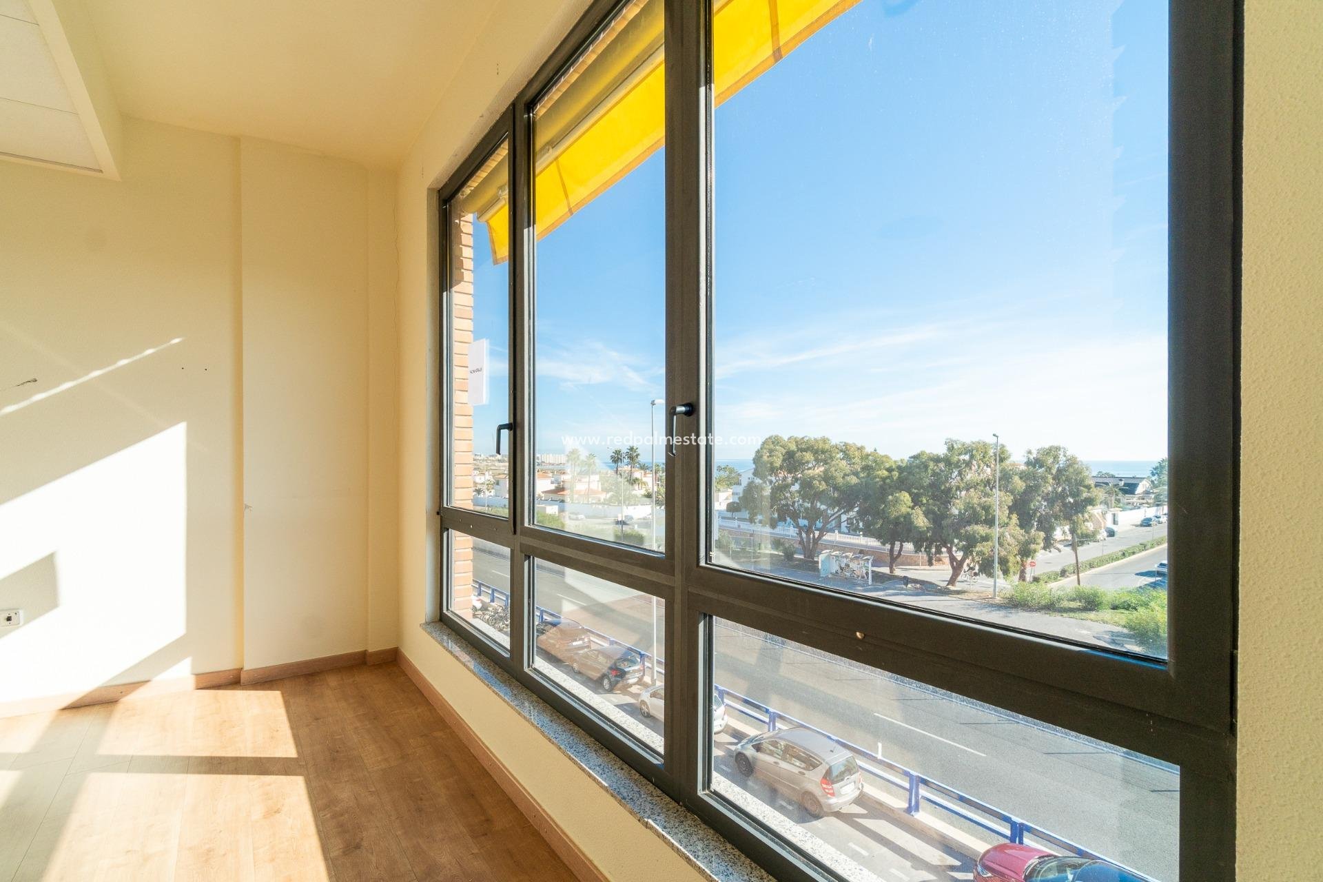  - Business -
Orihuela Costa - Playa Flamenca