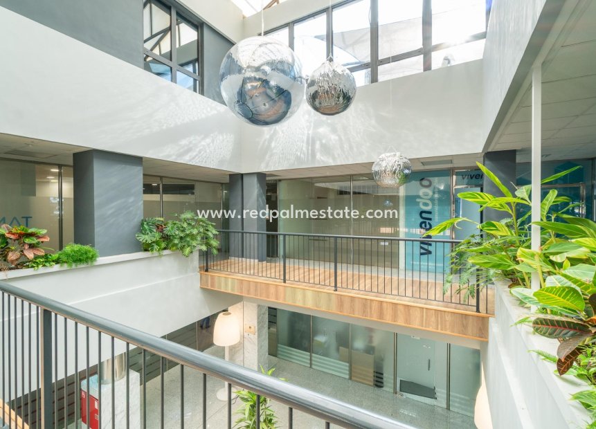  - Business -
Orihuela Costa - Playa Flamenca