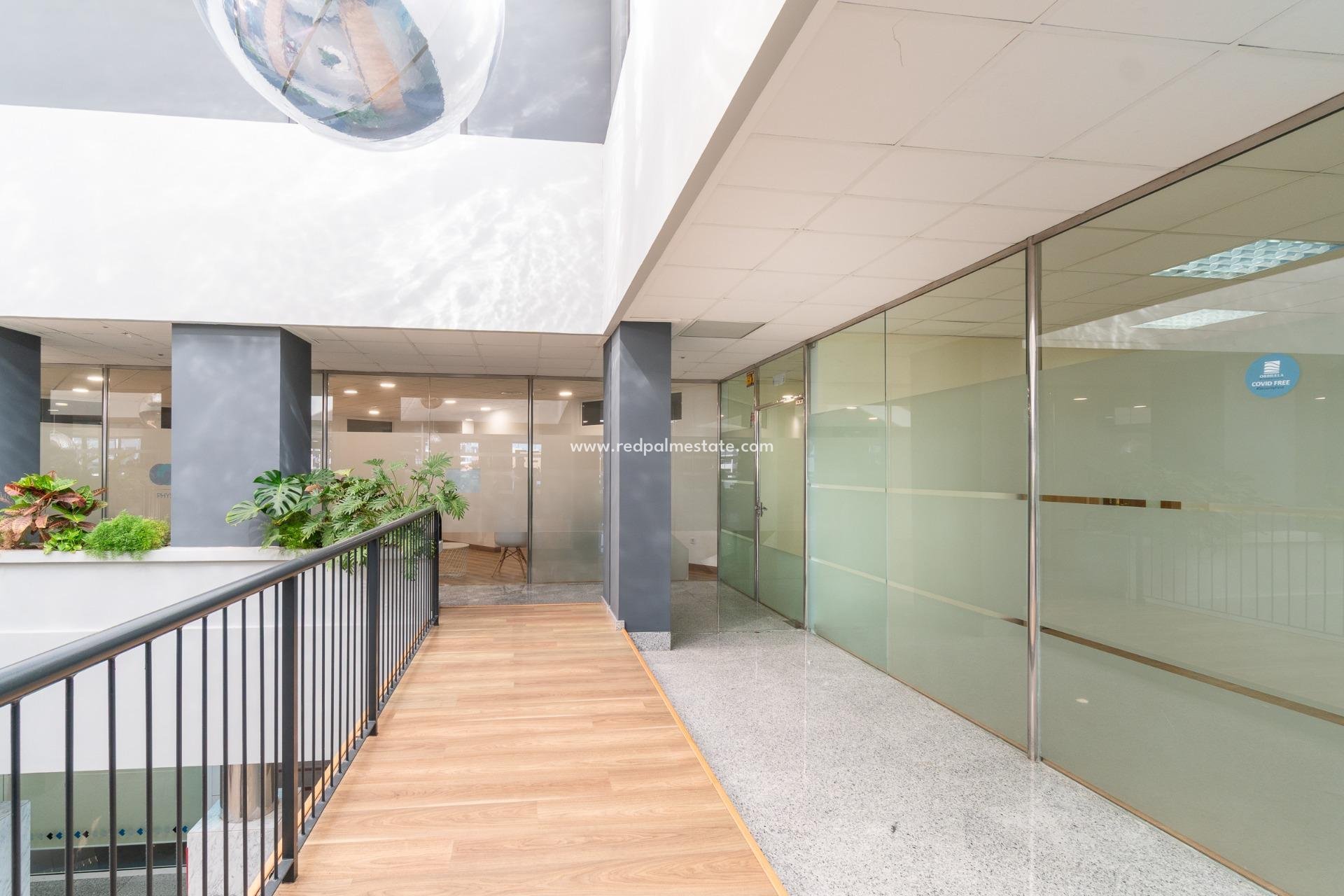  - Business -
Orihuela Costa - Playa Flamenca