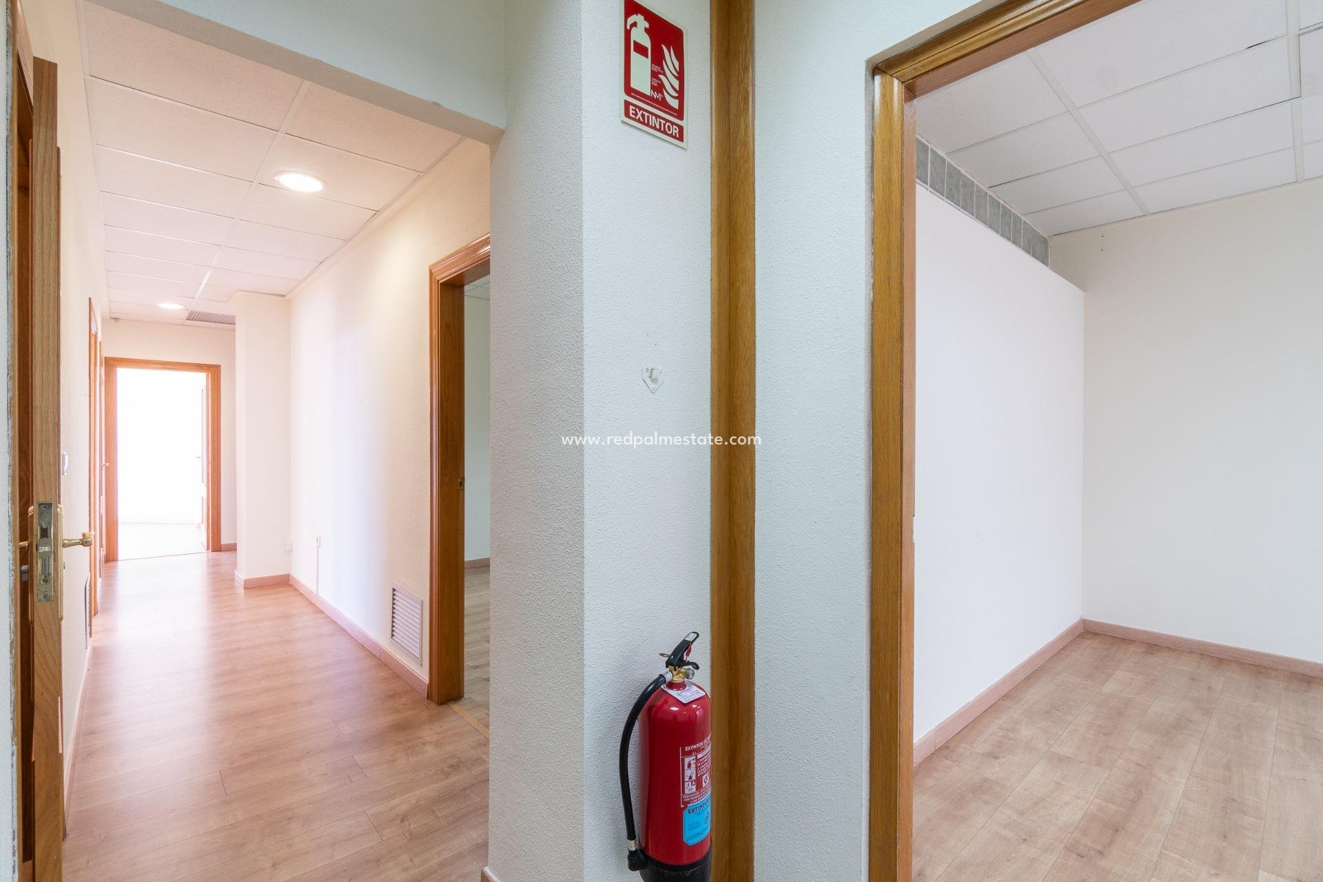  - Business -
Orihuela Costa - Playa Flamenca