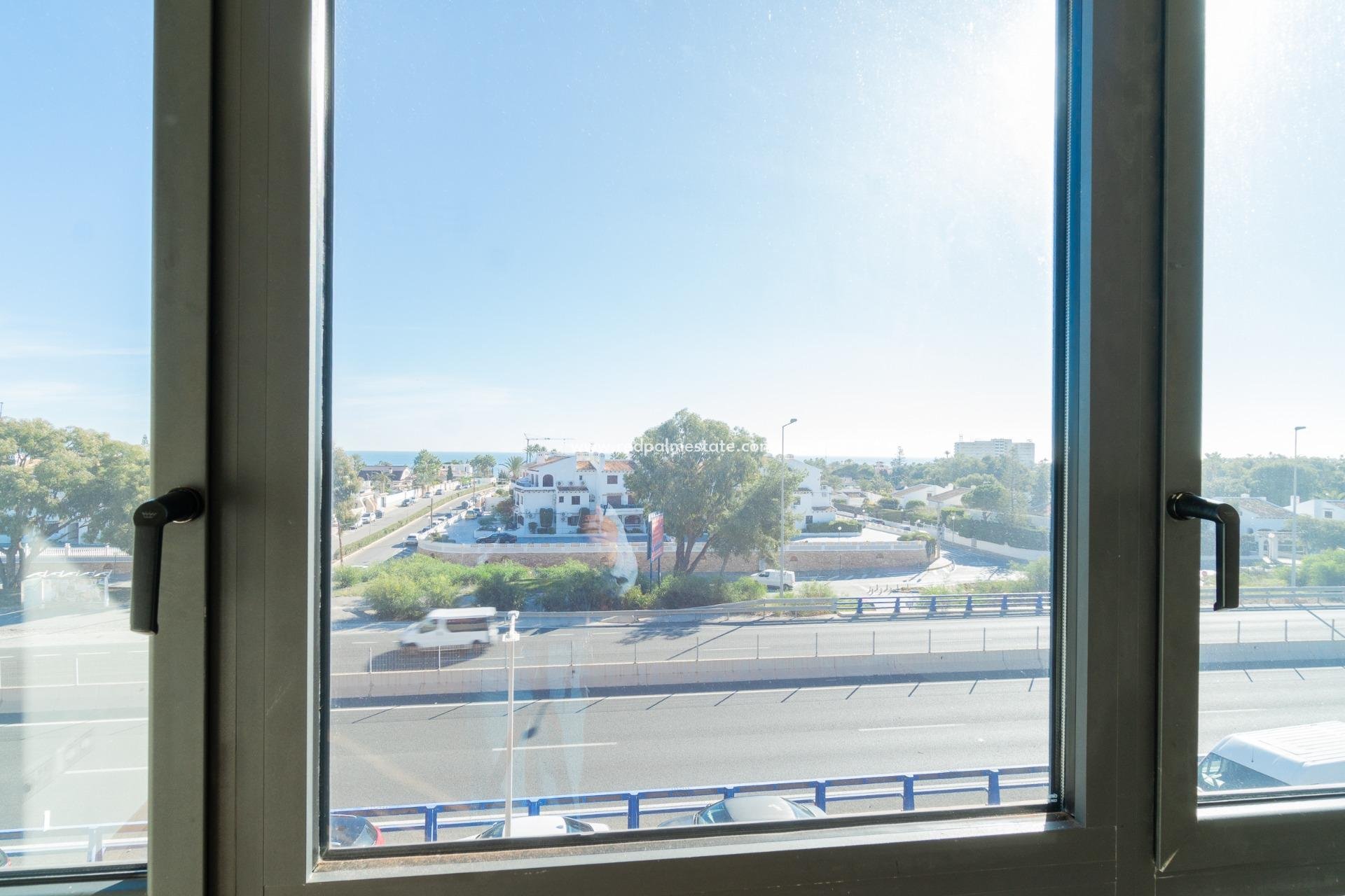  - Business -
Orihuela Costa - Playa Flamenca