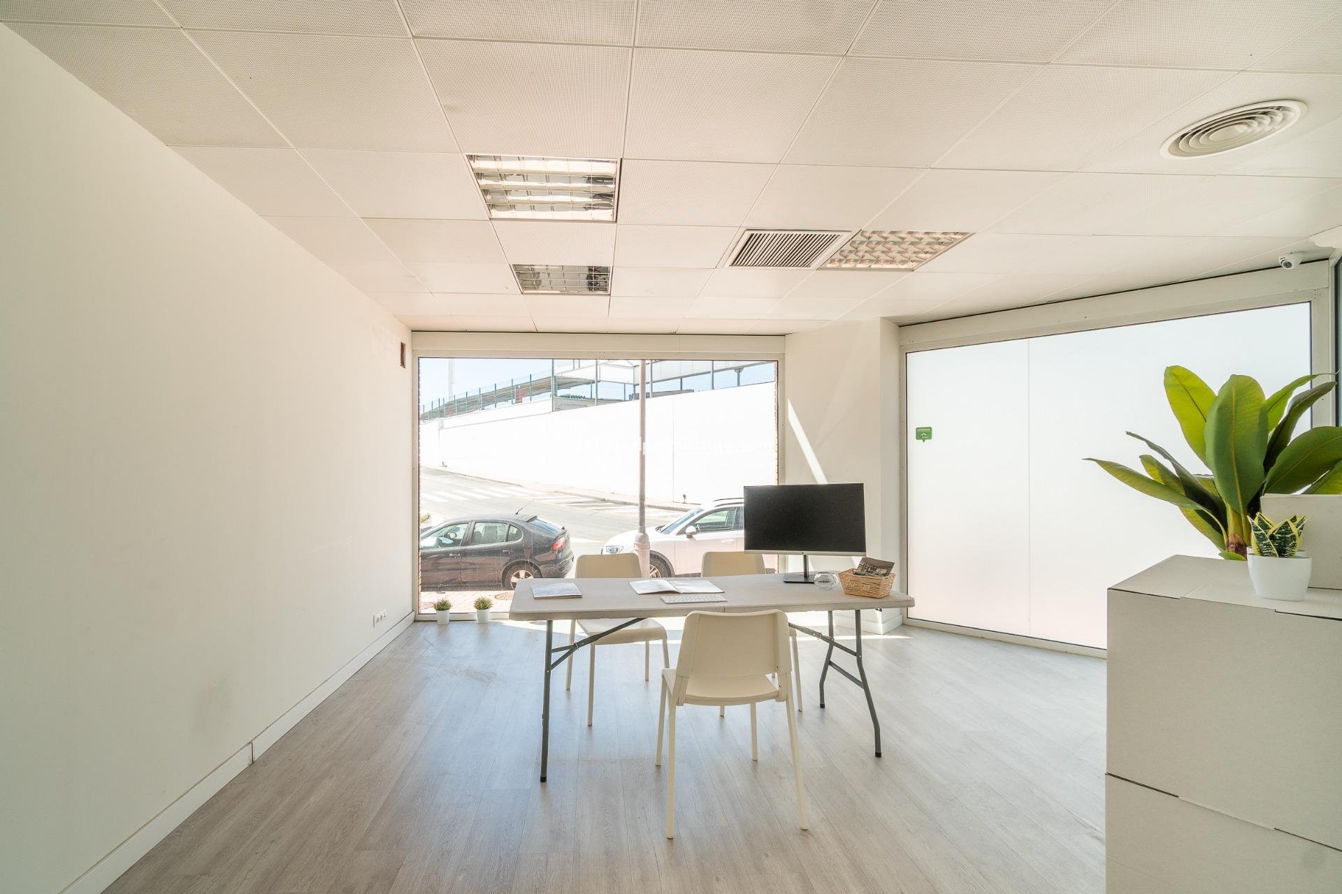  - Business -
Orihuela Costa - Playa Flamenca