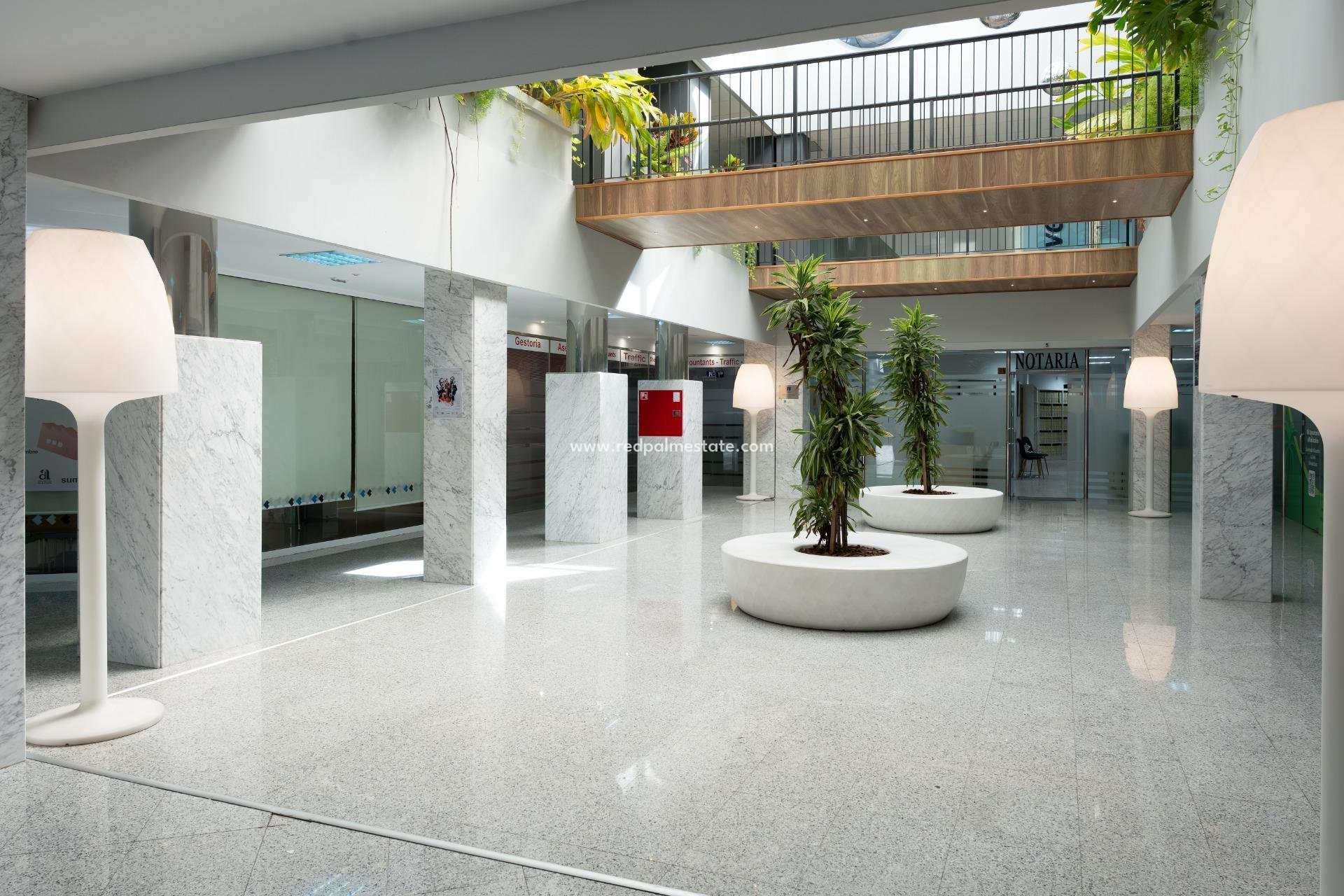  - Business -
Orihuela Costa - Playa Flamenca