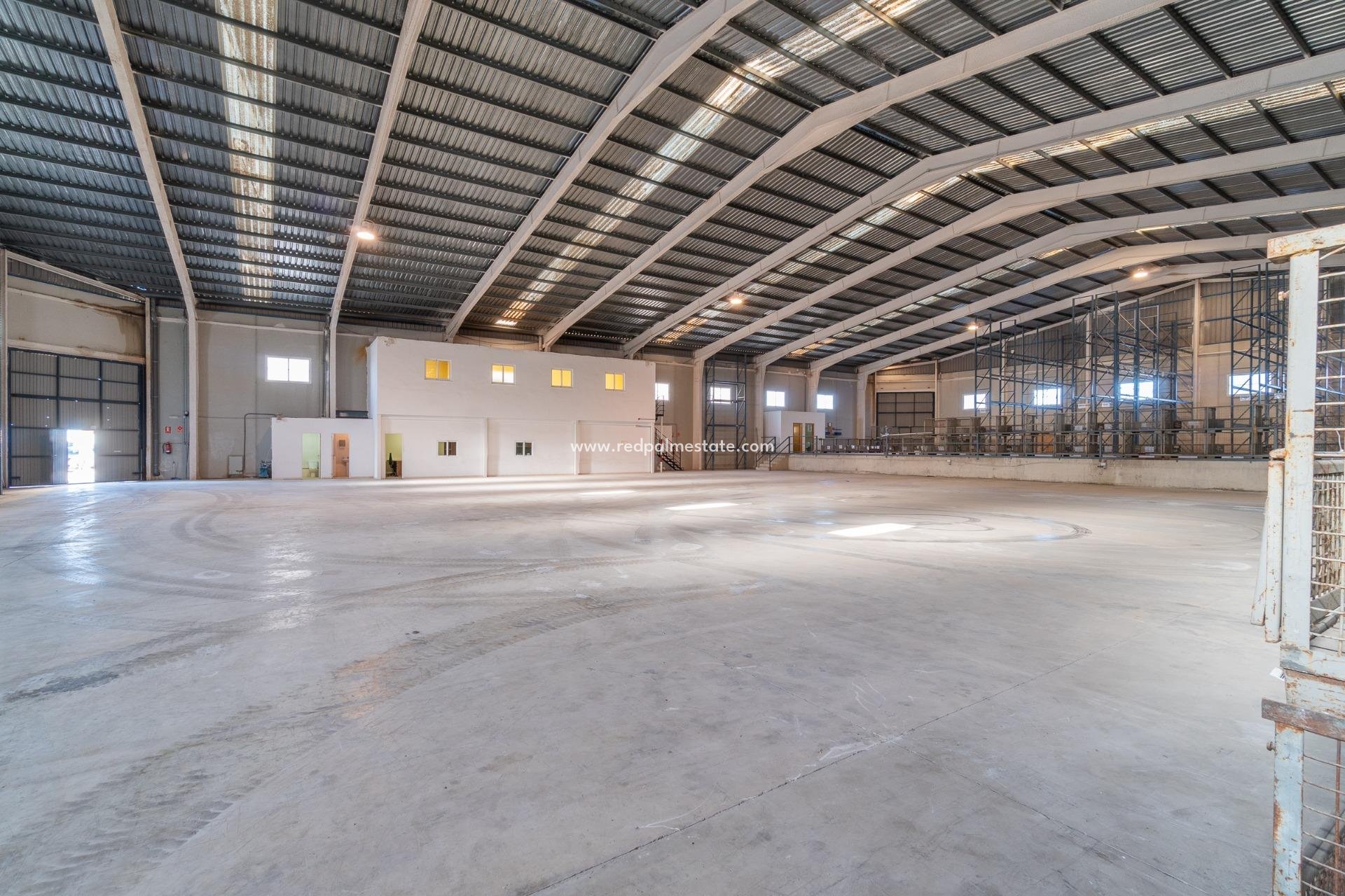  - Business -
Pilar de la Horadada - Polígono industrial Cañada de Práez