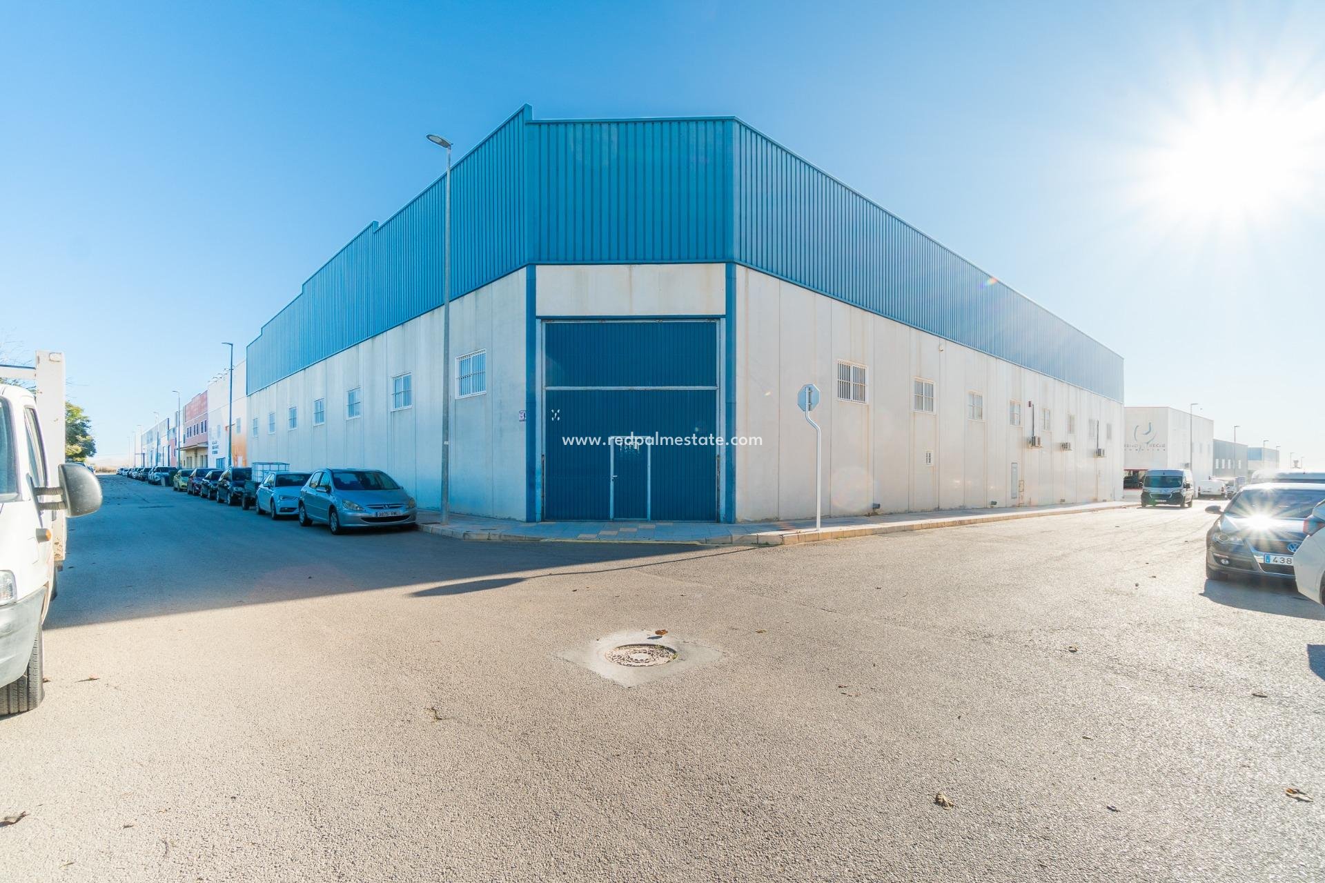  - Business -
Pilar de la Horadada - Polígono industrial Cañada de Práez