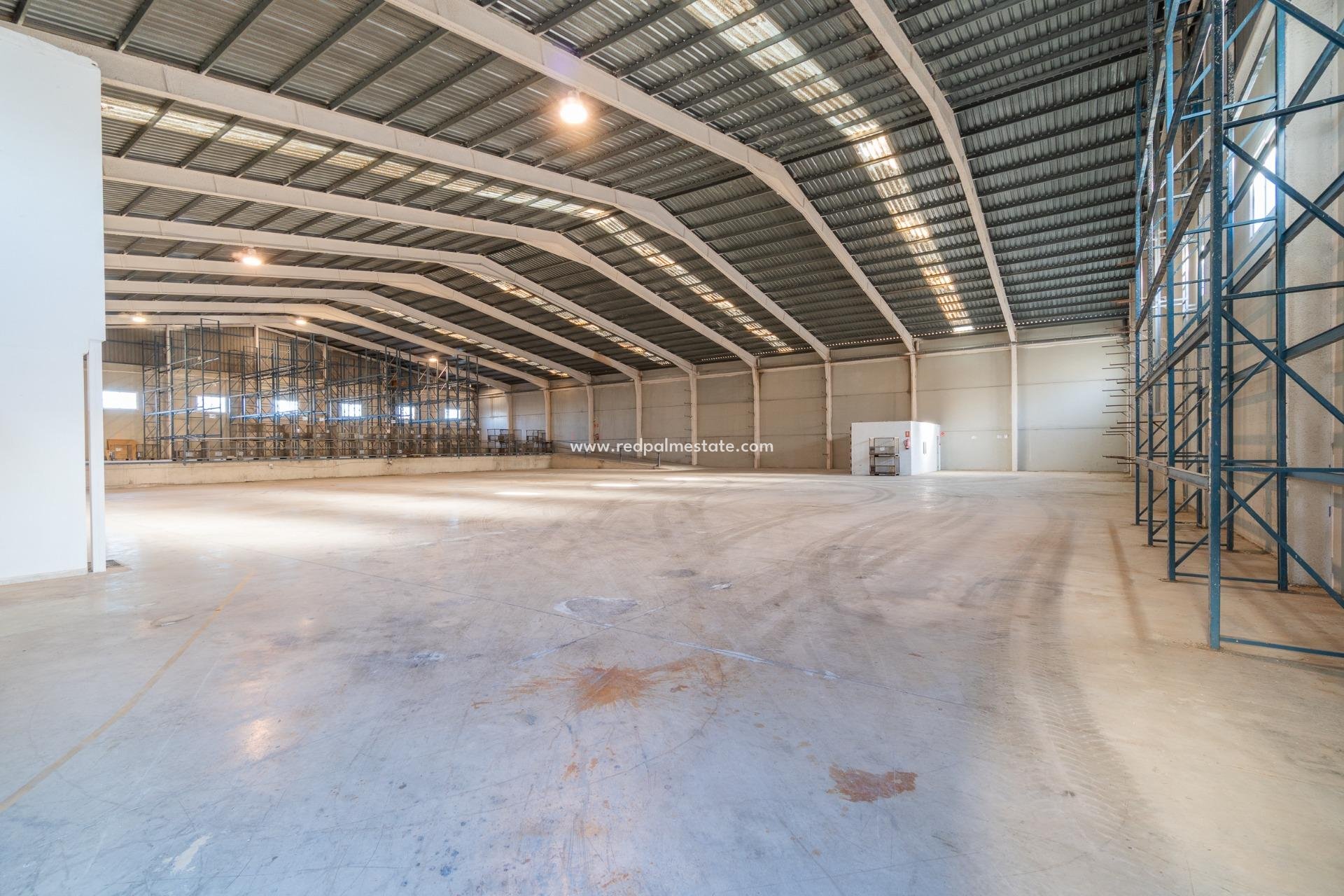  - Business -
Pilar de la Horadada - Polígono industrial Cañada de Práez