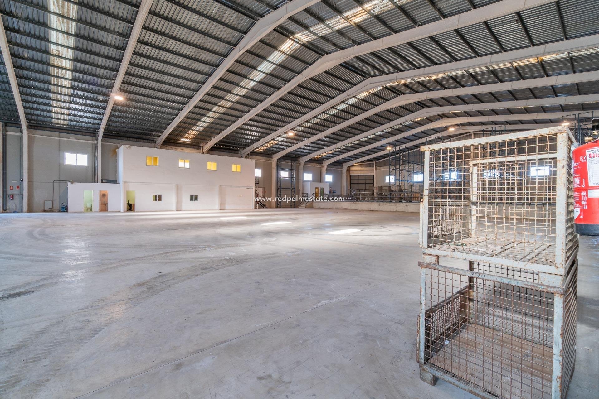  - Business -
Pilar de la Horadada - Polígono industrial Cañada de Práez