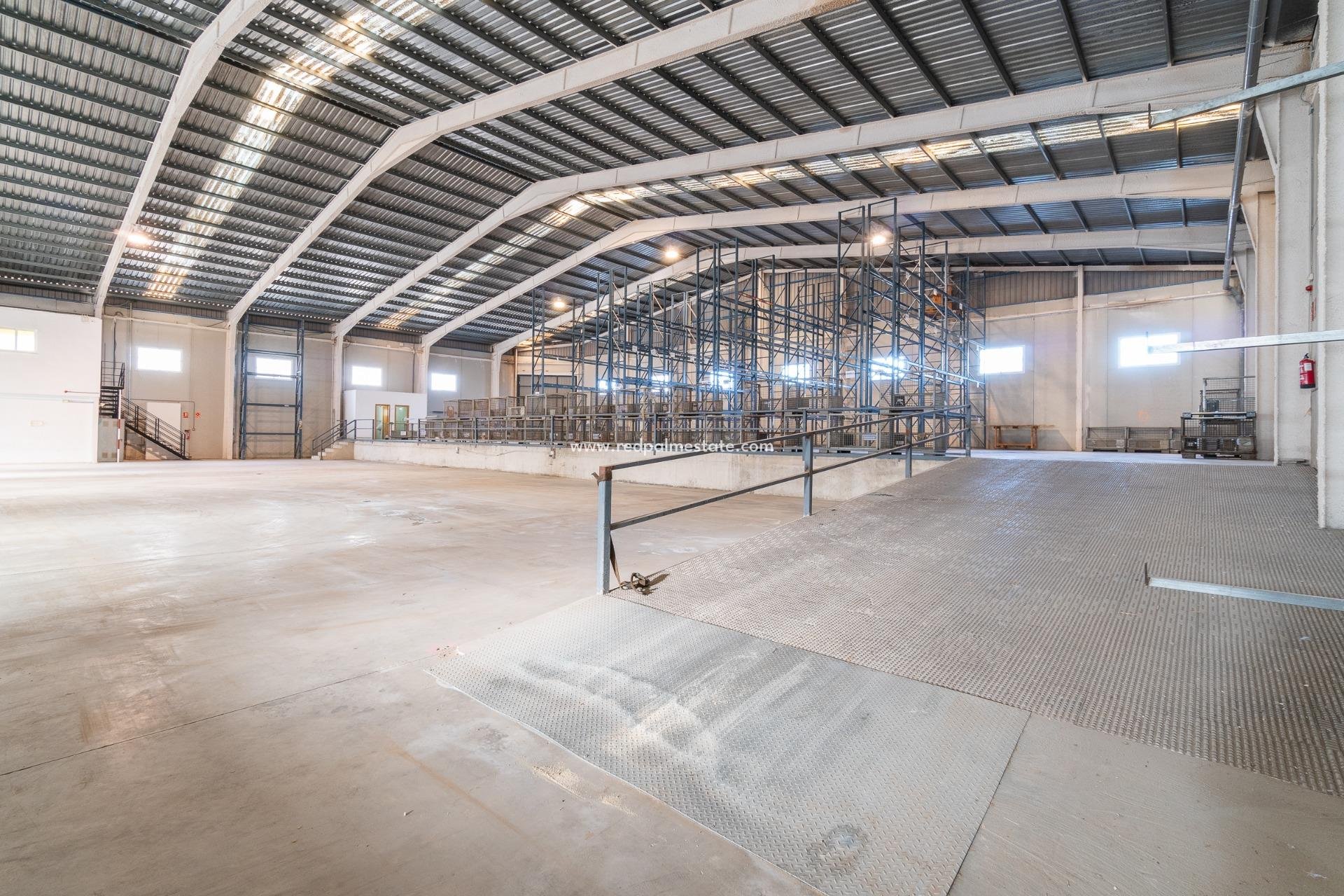  - Business -
Pilar de la Horadada - Polígono industrial Cañada de Práez