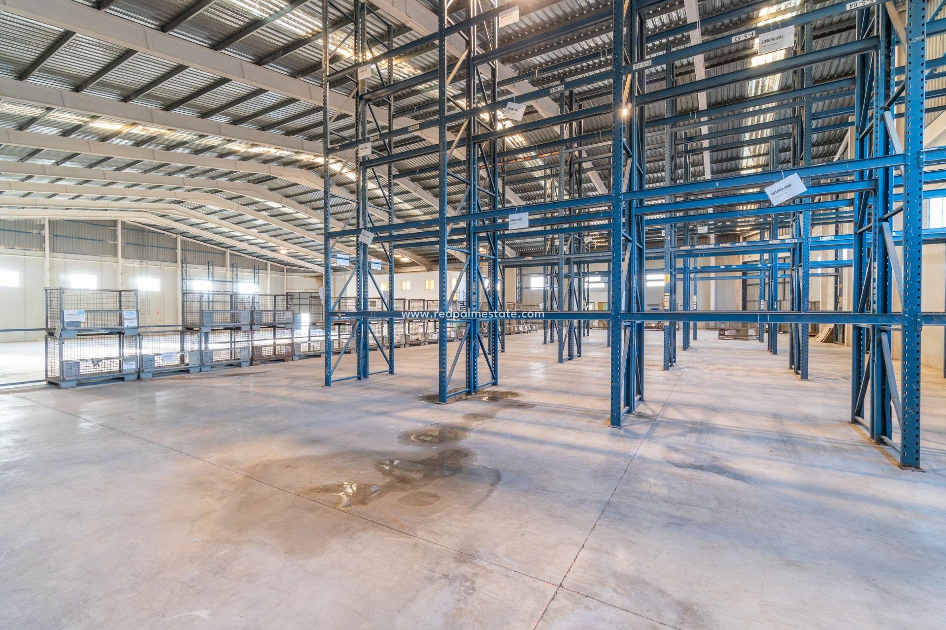  - Business -
Pilar de la Horadada - Polígono industrial Cañada de Práez