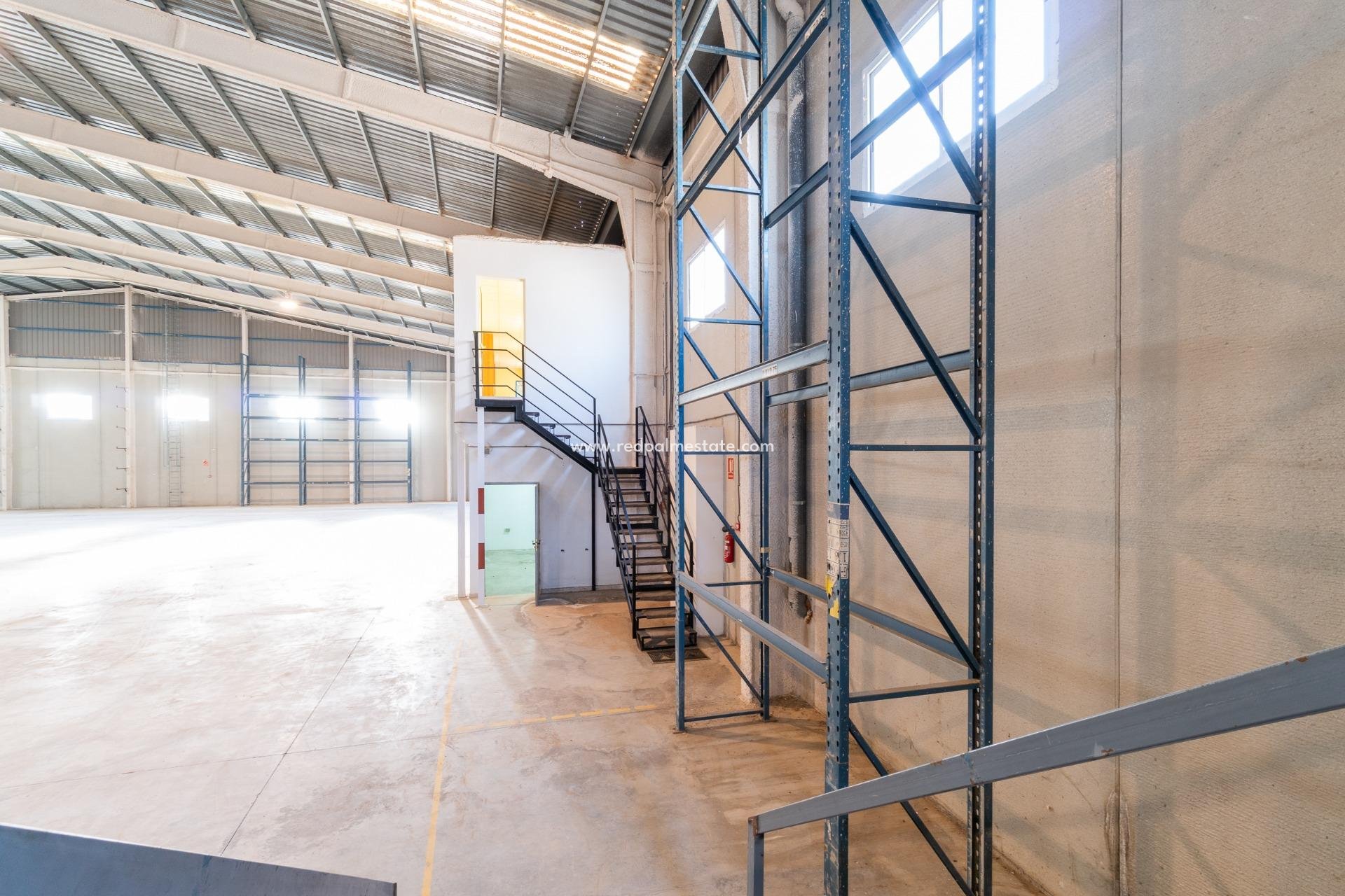  - Business -
Pilar de la Horadada - Polígono industrial Cañada de Práez