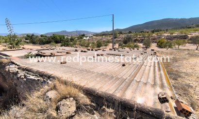 Business - Resale - Chinorlet - Inland