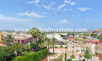 Business - Resale - San Miguel de Salinas - Inland