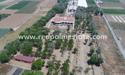 Camping Park - Återförsäljning - Torre del Mar - Torre del Mar