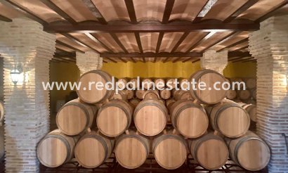 Cellar - Videresalg - Albacete - Albacete