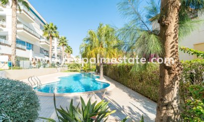 Departamento - Reventa - Orihuela Costa - Los Dolses