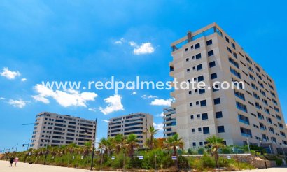 Departamento - Reventa - Torrevieja - Punta Prima