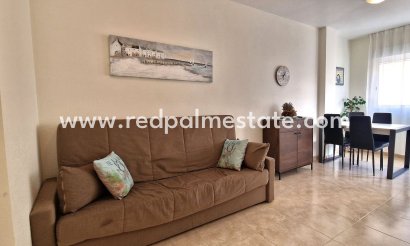 Departamento -  - Torrevieja -
                Torrevieja