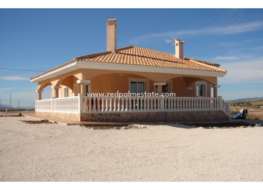 Designe og bygg - Villa -
Alicante