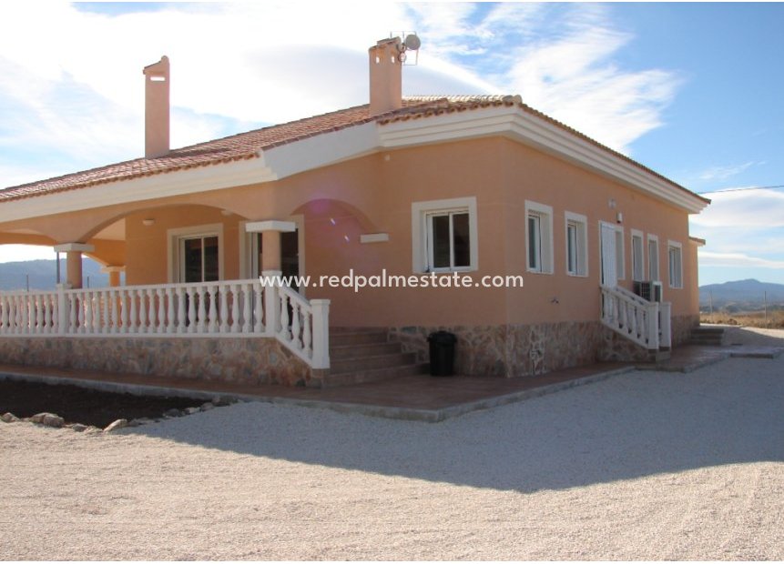 Designe og bygg - Villa -
Alicante