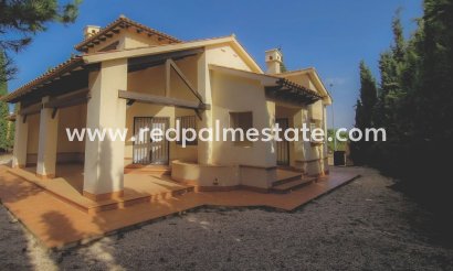 Detached Villa - New Build - Fuente Álamo - Las Palas