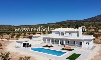 Detached Villa - New Build - Pinoso - Camino Del Prado