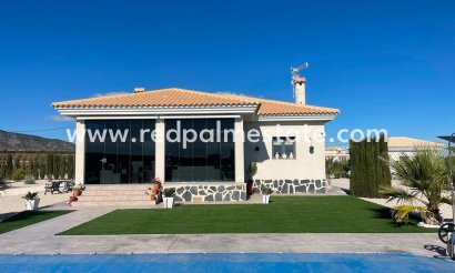 Detached Villa - New Build - Pinoso - Camino Del Prado