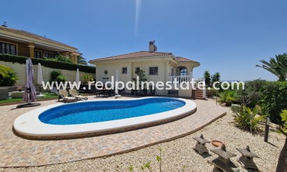 Detached Villa - Resale - La Marina - La Marina