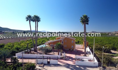 Detached Villa - Resale - Orihuela Costa - Inland