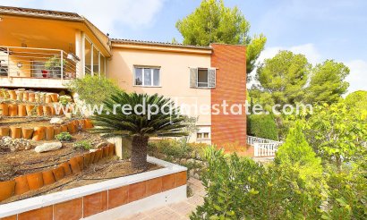 Detached Villa - Resale - Pinar de Campoverde - Pinar de Campoverde