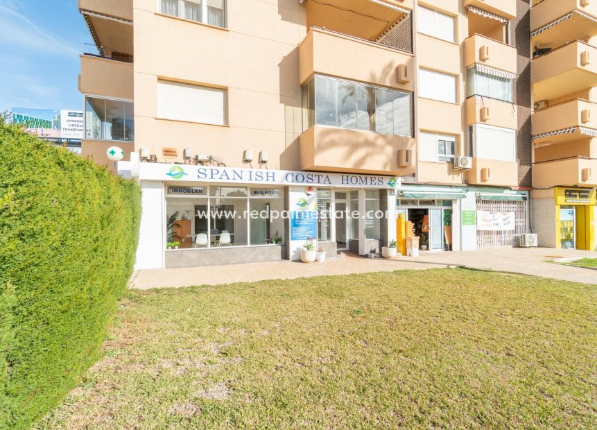  - Entreprise -
Orihuela Costa - La Zenia