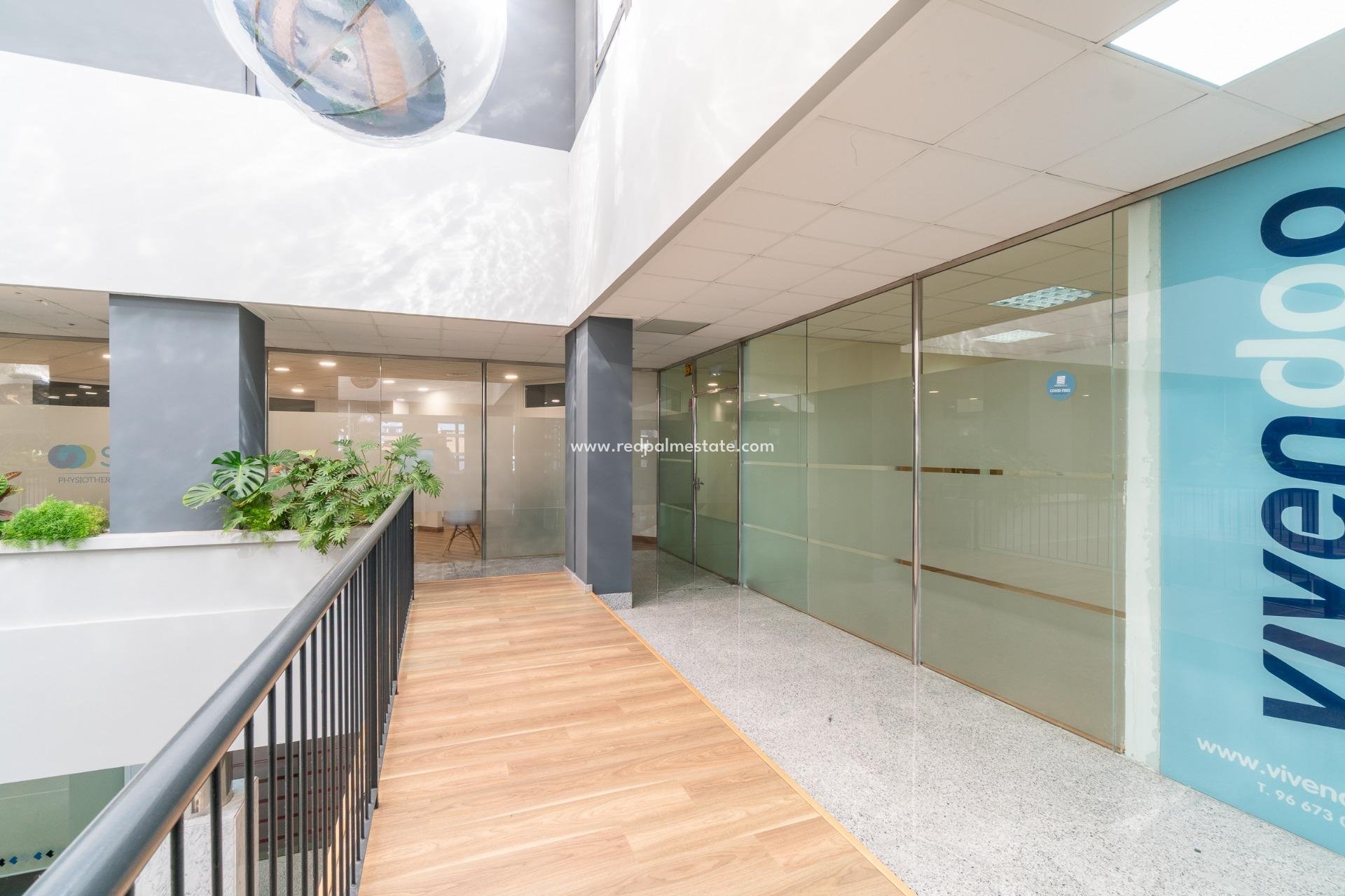  - Entreprise -
Orihuela Costa - Playa Flamenca