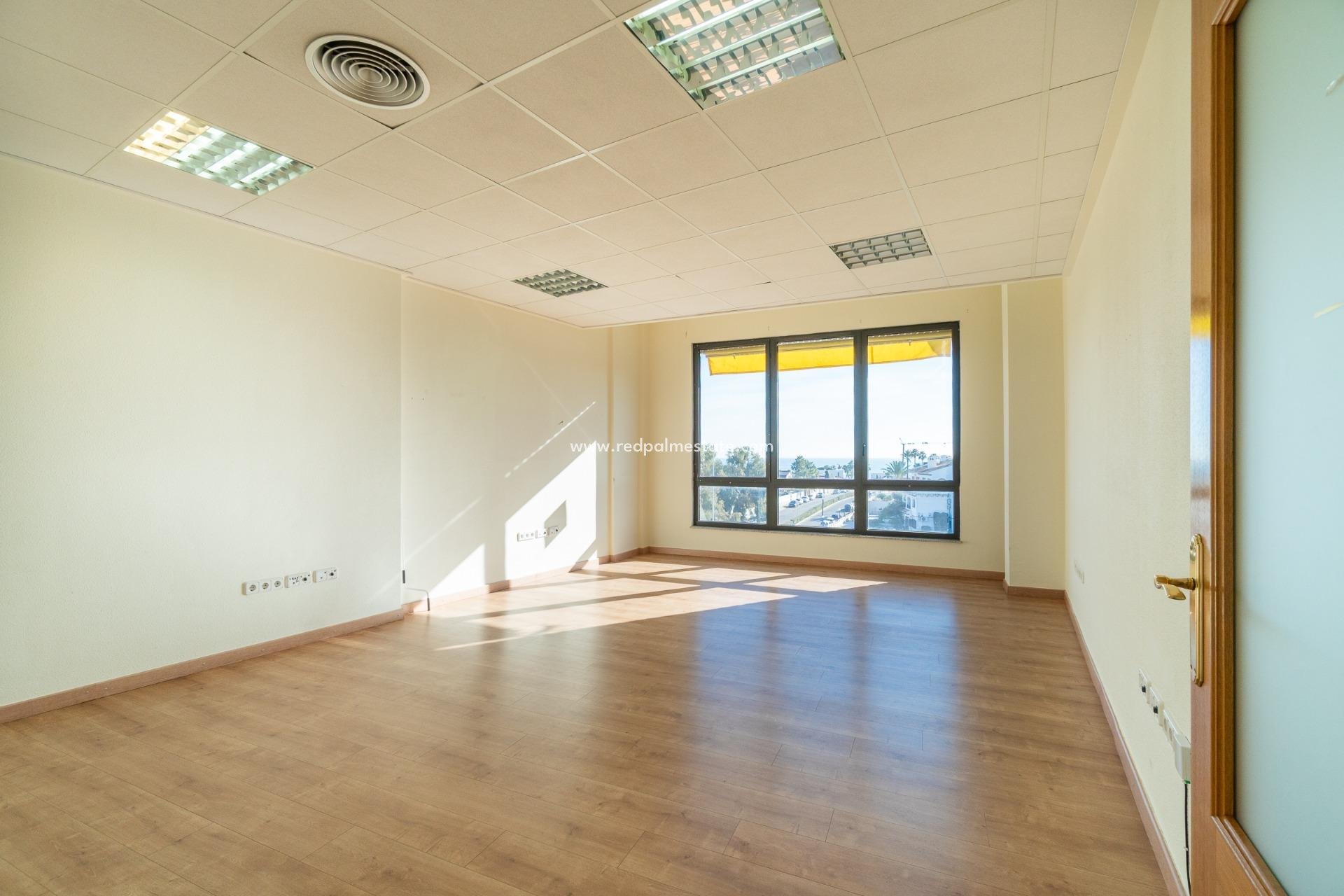  - Entreprise -
Orihuela Costa - Playa Flamenca