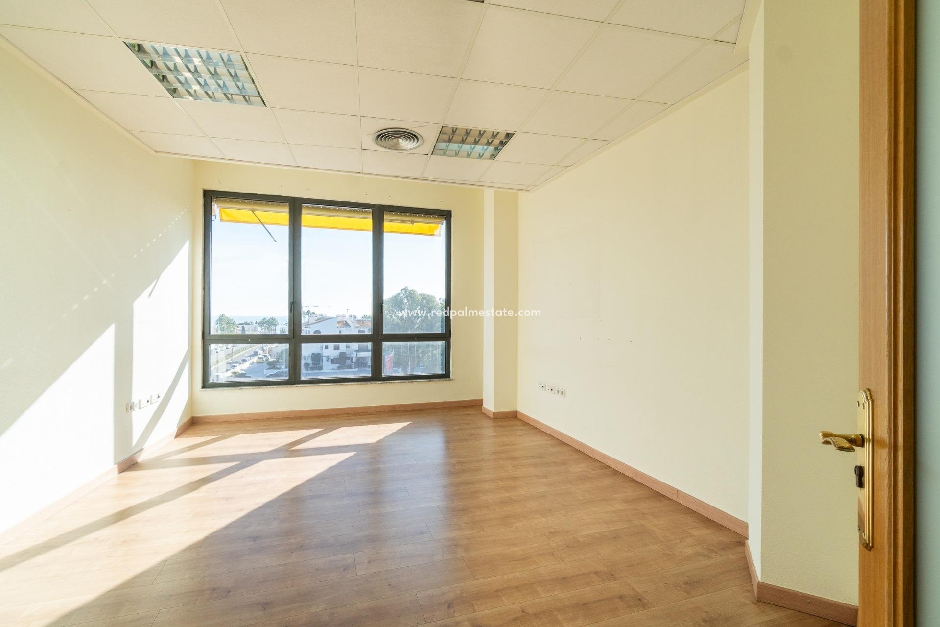  - Entreprise -
Orihuela Costa - Playa Flamenca