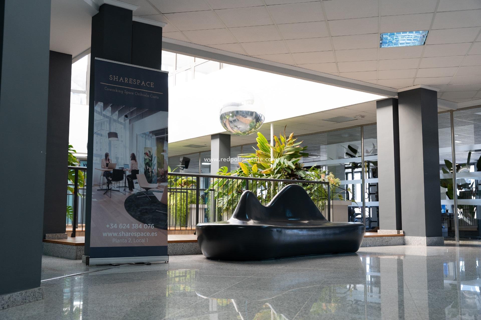  - Entreprise -
Orihuela Costa - Playa Flamenca