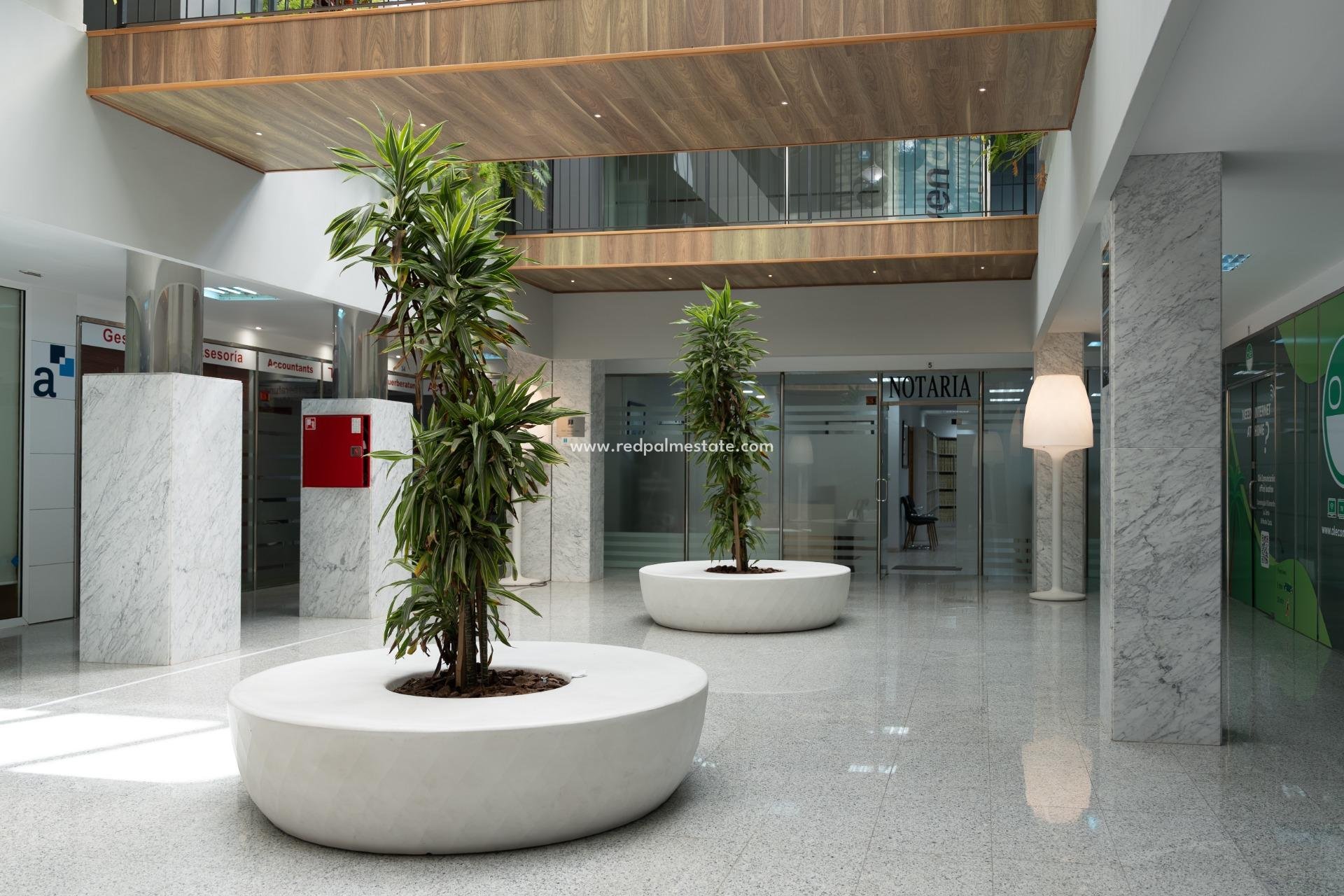  - Entreprise -
Orihuela Costa - Playa Flamenca