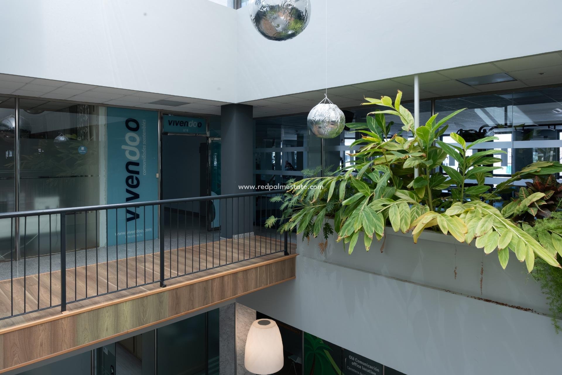  - Entreprise -
Orihuela Costa - Playa Flamenca