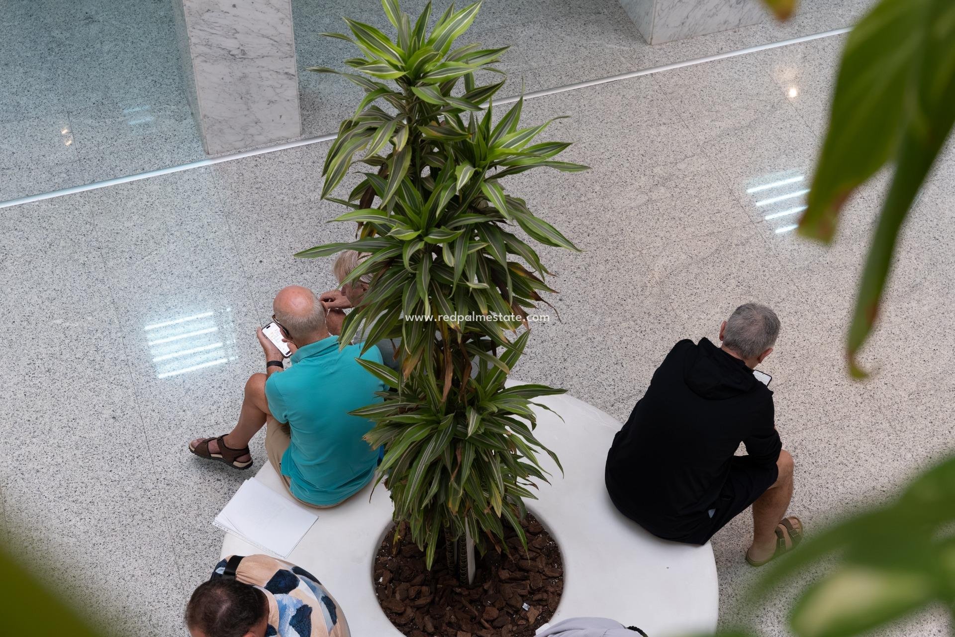  - Entreprise -
Orihuela Costa - Playa Flamenca