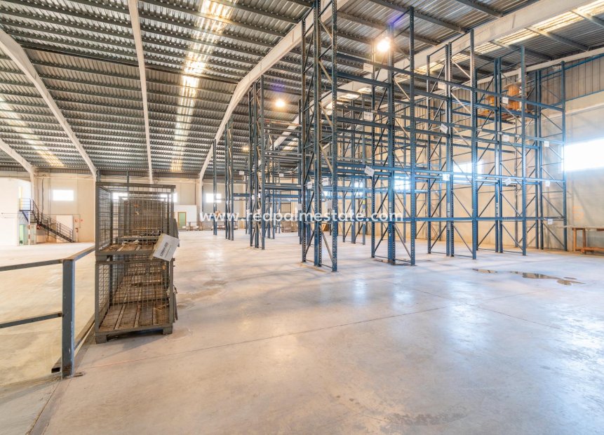  - Entreprise -
Pilar de la Horadada - Polígono industrial Cañada de Práez