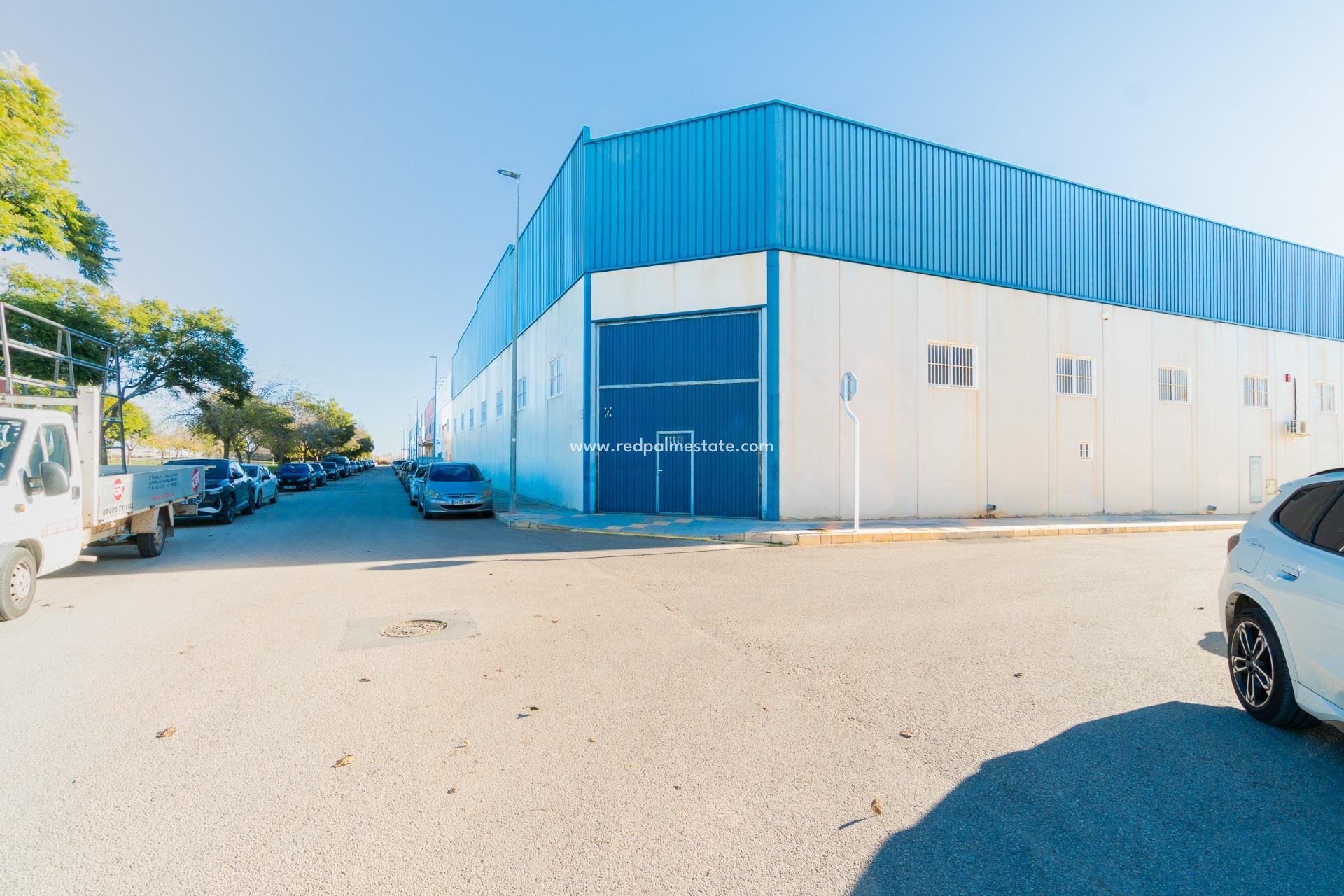  - Entreprise -
Pilar de la Horadada - Polígono industrial Cañada de Práez