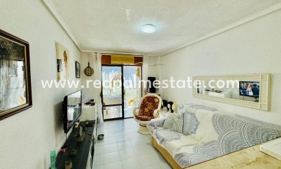 Estudio - Resale - Torrevieja -
                La siesta