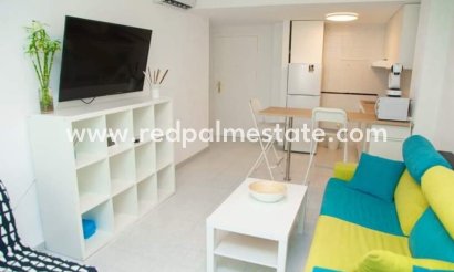 Estudio - Reventa - Torrevieja -
                Torrevieja