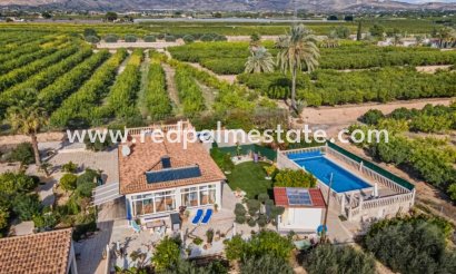 Finca / Country Property - Resale - Albatera - Albatera