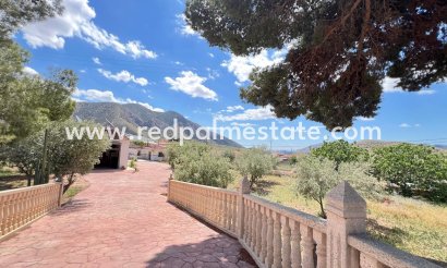 Finca / Country Property - Resale - Algueña - Inland