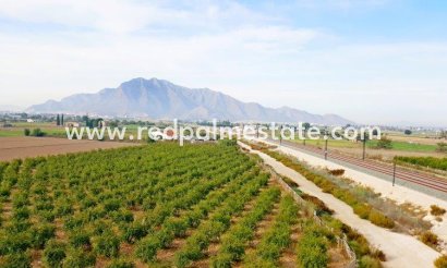 Finca / Country Property - Resale -
            Cox - MR2-59931