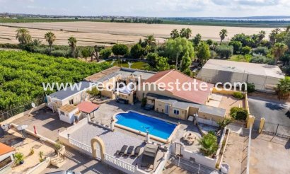 Finca / Country Property - Resale - Montesinos - Los Montesinos