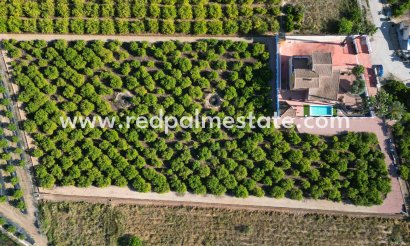 Finca / Country Property - Resale - Orihuela Costa - Inland