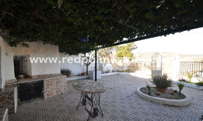 Finca / Country Property - Resale - Pinoso - Inland