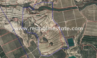 Finca / Country Property - Resale -
            Torremendo - MR2-25158